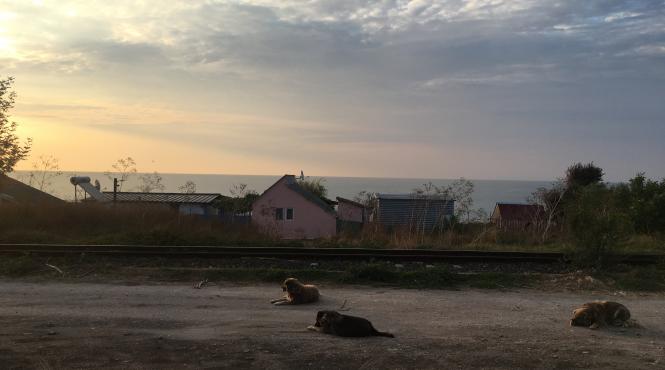 pescarus raiul salbatic deschis intre costinesti si olimp