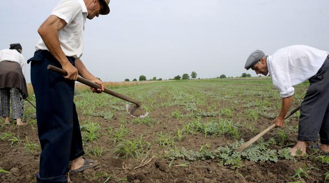 anaf contrazice eurostat romanii la limita subzistentei sunt considerati bogati