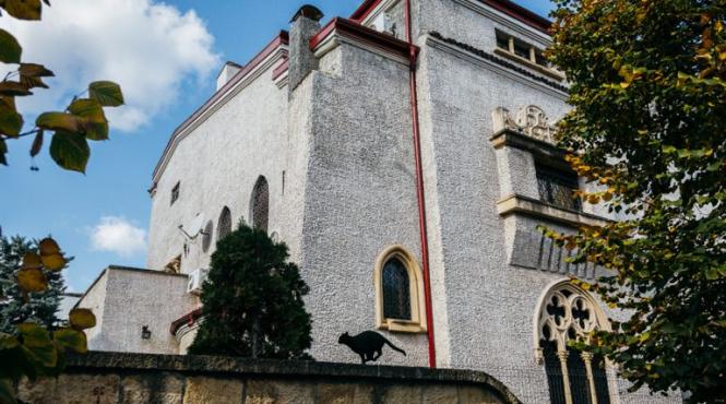 proiectul case de muzicieni noua dimensiune in bucuresti si extindere in timisoara si orasele invecinate