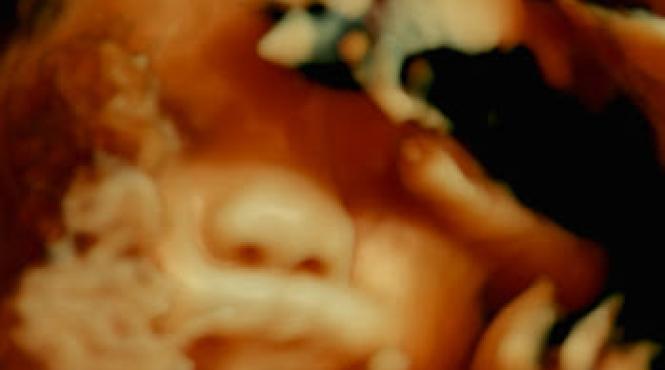 festivalul international de film experimental bucuresti handle with care