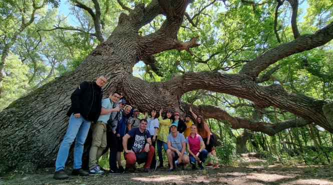 reorganizare in turism vacante in tara sau cat mai aproape de casa
