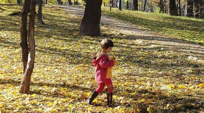 vesti bune de saptamana viitoare vremea se incalzeste