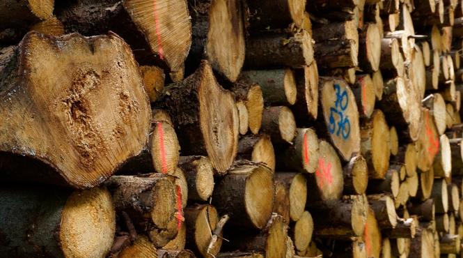 romania acorda sprijin pentru iarna r moldova 130 000 de metri cubi de lemn de foc