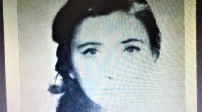 dana dumitriu femeia stindard a prozei moderne romanesti