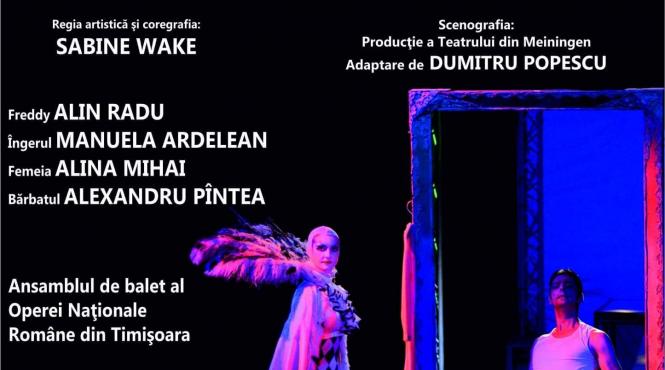 alin radu povestea unei cariere