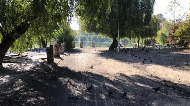 nicusor dan refacem integral aleea care inconjoara lacul din parcul tineretului