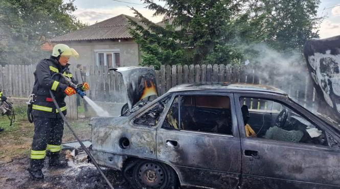 un pusti de 17 ani zi de zi in ajutorul comunitatii sale se intampla la constanta