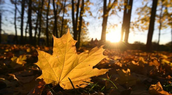 vremea pentru urmatoarele patru saptamani temperaturi peste media perioadei