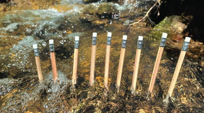 expozitia inaugurala a galeriei lutnita din chisinau o farama de cluj in inima chisinaului