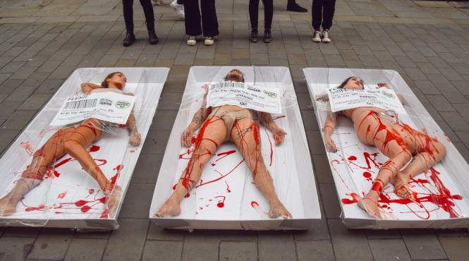 imagini socante militanti vegani s au pozat insangerati in mijlocul londrei