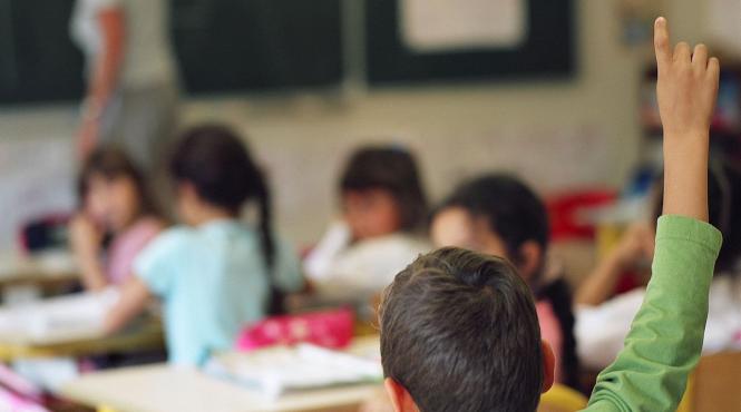 segregarea in invatamant de la cresa pana la facultate interzisa prin lege discriminarea devine contraventie sau chiar fapta penala