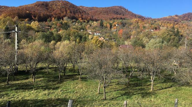 jgheaburi casa cladita de 500 de fecioare scapate din robia turcilor