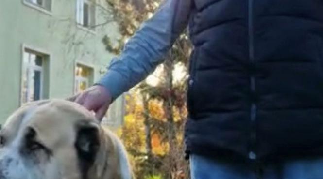 un bunic acuzat ca si maltrateaza cainele chinuit de cei care il anchetau