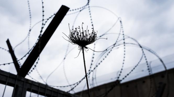 ucraina anunta construirea unui zid la frontiera cu belarus