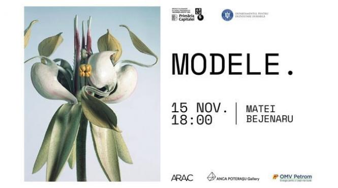 vernisaj matei bejenaru la galeria anca poterasu