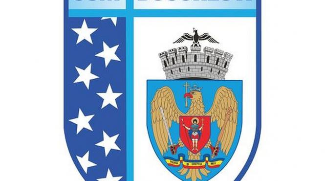 nicusor dan sesizeaza dna