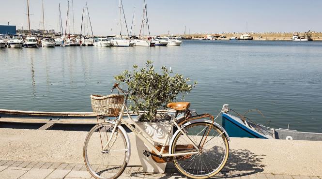 lupta pe organizatiile de management al destinatiei continua cu incercari de incalcare a legii