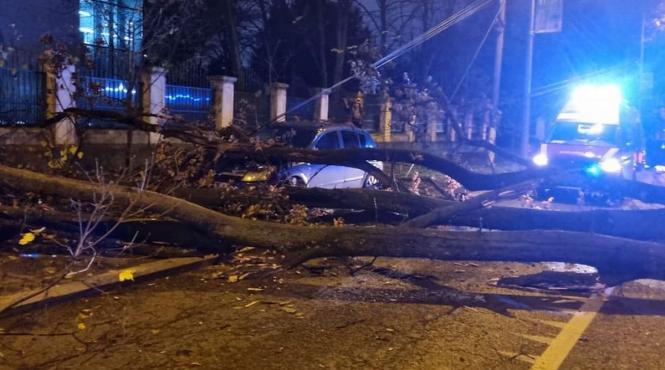 barbat copac lovit echipaj smurd trafic