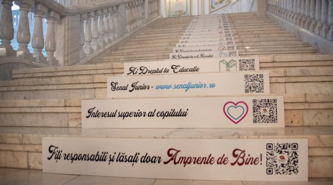 drepturile copiilor senatul romaniei amprente bine