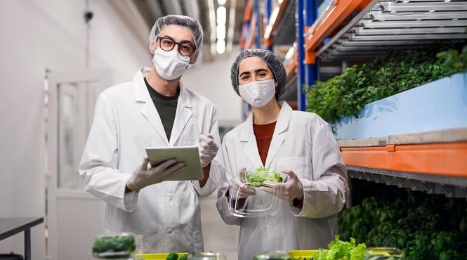 reducerea risipei alimentare si noi surse de hrana asa arata viitorul alimentatiei