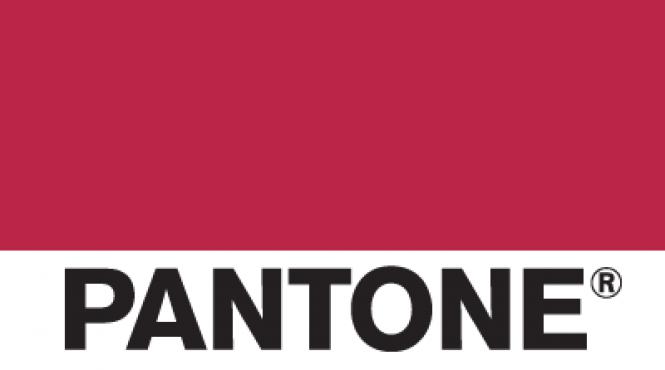 viva magenta culoarea anului 2023