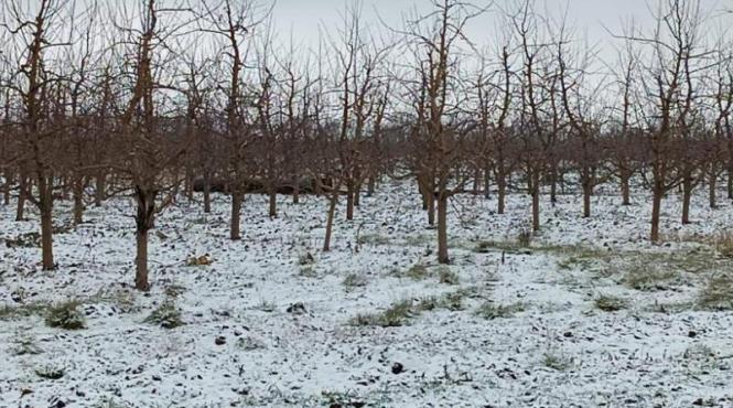 racheta moldova frontiera briceni