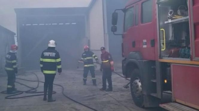 incendiu ferma avicola satu mare