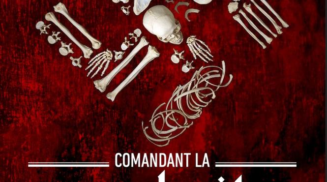 stejarel olaru istorii criminali