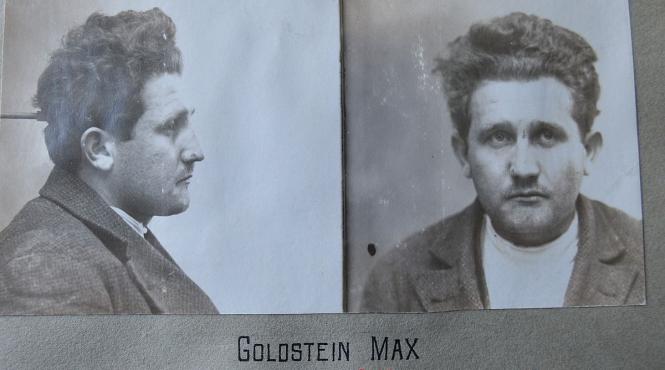 max goldstein anarhist bolsevic greva politicii