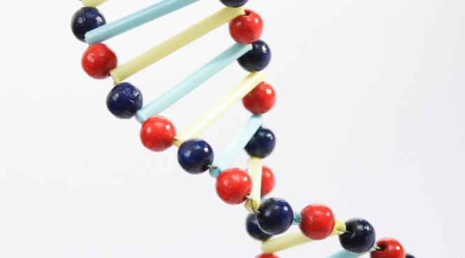 mostre adn vechi 2 milioane ani groenlanda ecosistem