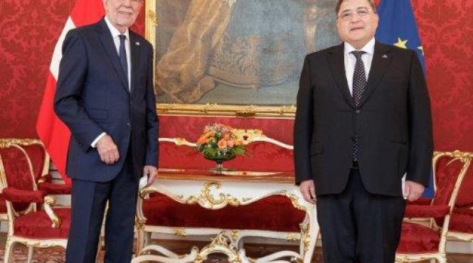 ambasadorul romaniei austria tara consultari