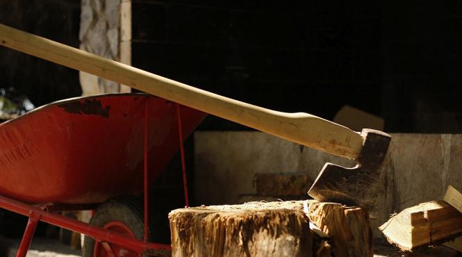 lemn licitatii romsilva pret plafonat