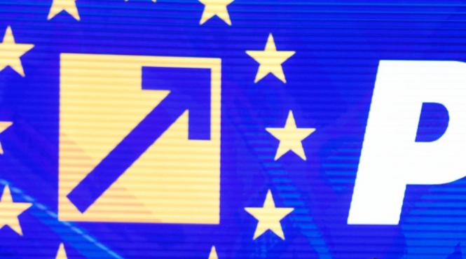 udmr guvern scoatere pnl