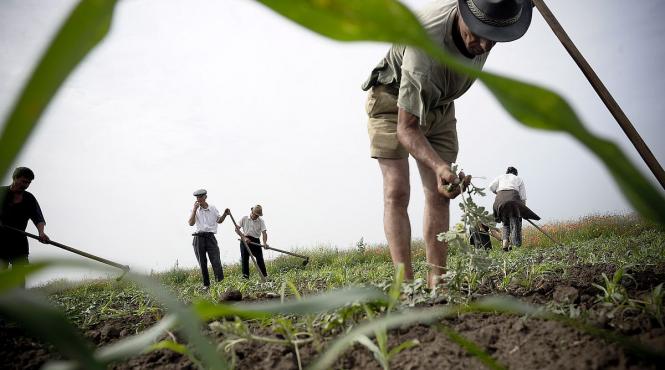 productie agricola crestere clima comisia europeana