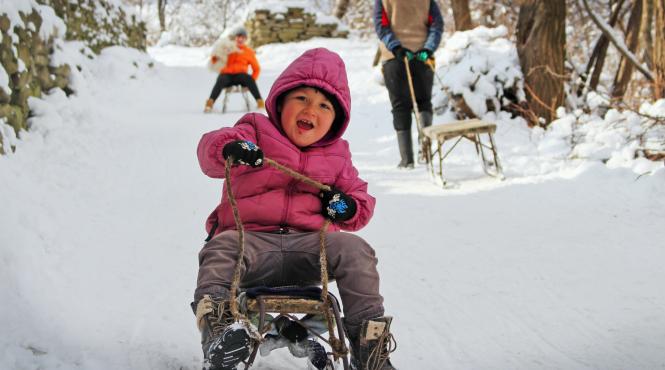 solstitiul iarna 21 decembrie iarna astronomica