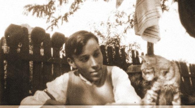 valjan pericle martinescu jacques g costin