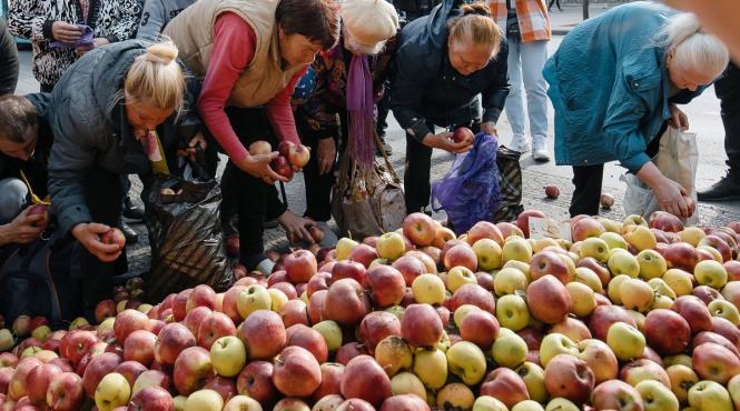 unu zece mere fruct romani polonia