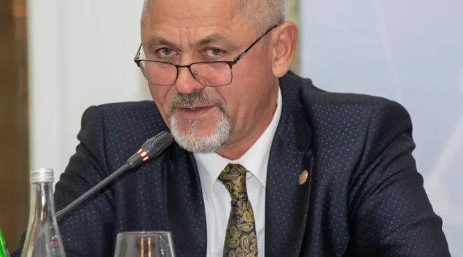 dumitru viorel focsa violenta domestica parlamentar