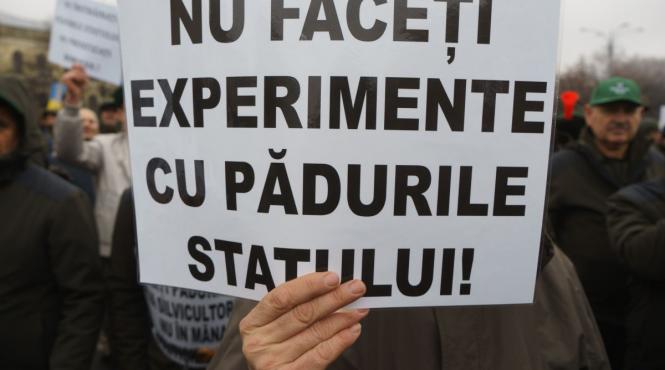 protest capitala distrugere paduri