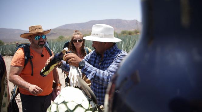 premiera america express audienta sezonul 5