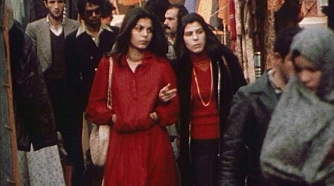 intre revolutii vlad petri