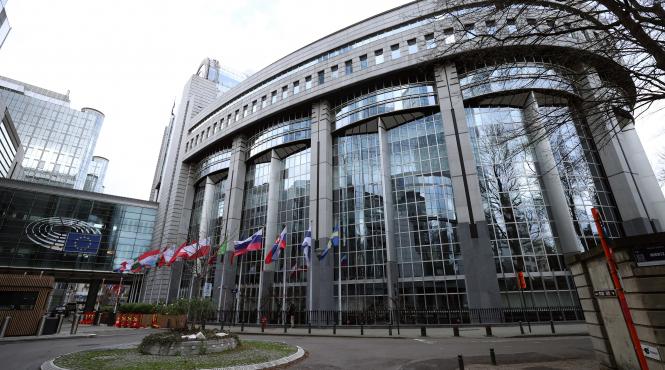 parlamentul european alege nou vicepresedinte eva kaili demisa coruptie qatar