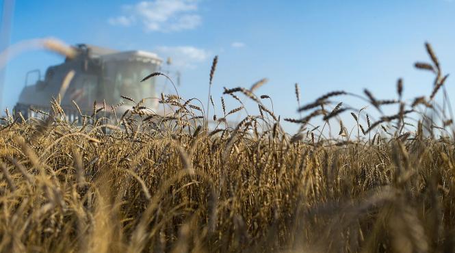 pret alimente europa saraci venit