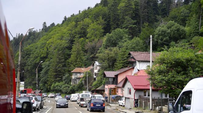 cetateni onoare terenuri retrase busteni