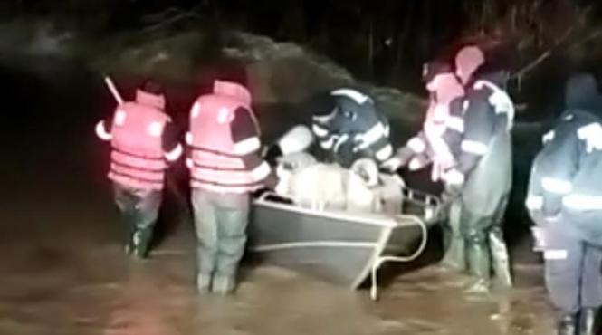 salvare 200 oi izolate revarsare ape