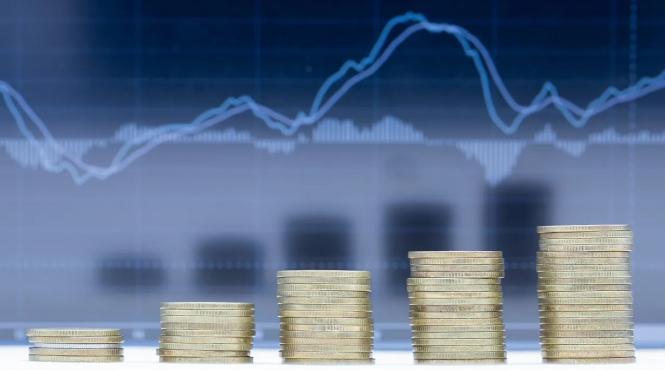 brazilia argentina pregatiri moneda comuna