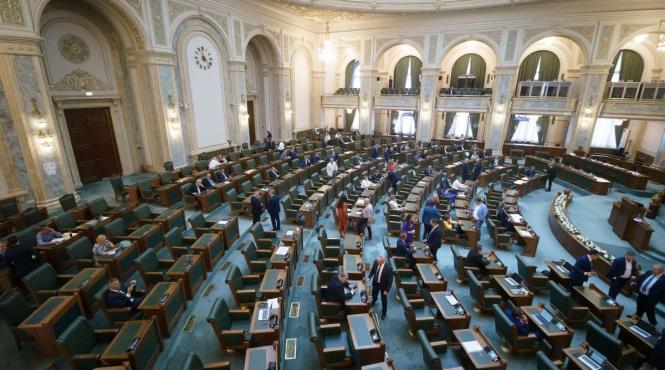 daniel fenechiu pnl desfiintare cnsc litigii achizitii publice