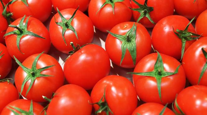 programul tomata 5 ani 1 miliard cheltuit