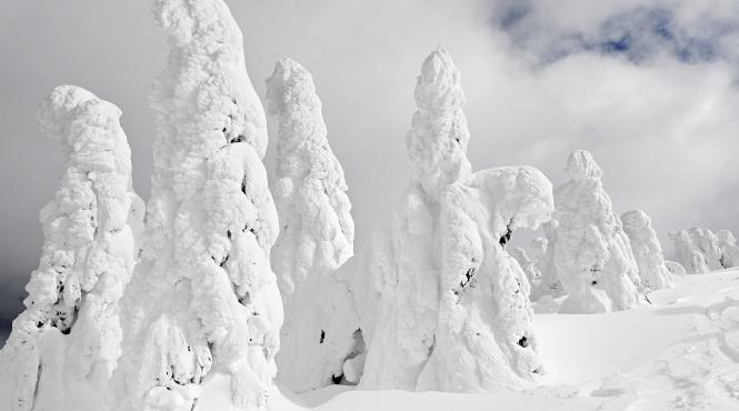 iarna cumplita japonia transporturi blocate