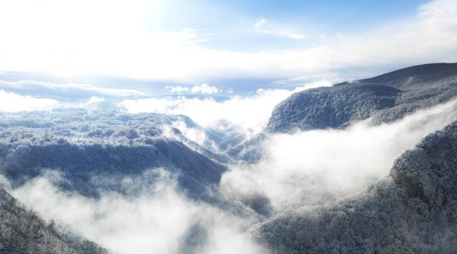 imagini uluitoare iarna cheile carasului